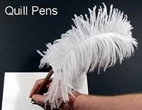 Quill Pen